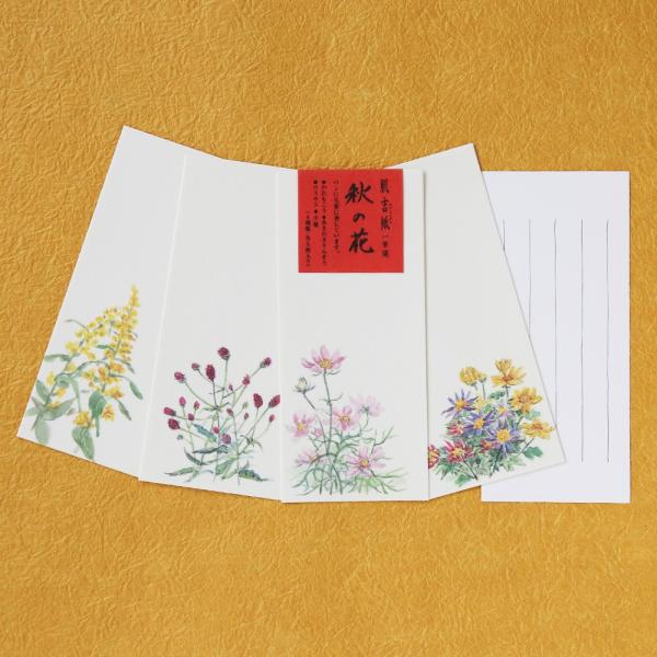   a Y g M H̉ 20/lR|XΉ