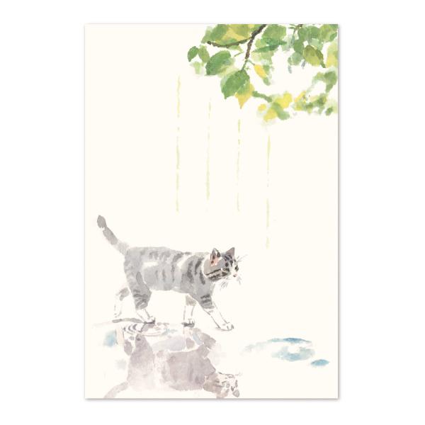 絵葉書 ポストカード 初夏 おしゃれ 和紙 手紙 メッセージ 季節のはがき 梅雨の晴れ間 イラスト ギフト お土産 めでたや/ネコポス対応