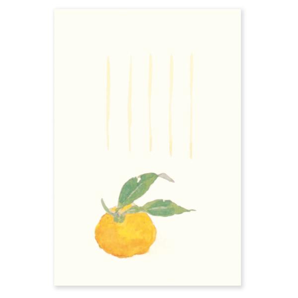 絵葉書 ポストカード 冬 おしゃれ 和紙 手紙 メッセージカード 季節のはがき 柚子 イラスト ギフト お土産 インテリア めでたや/ネコポス対応