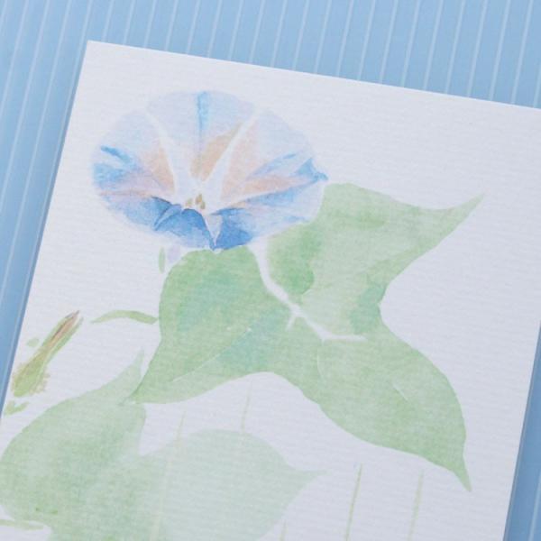 絵葉書 おしゃれ 和紙 季節のはがき 夏 朝顔 Buyee Buyee Japanese Proxy Service Buy From Japan Bot Online