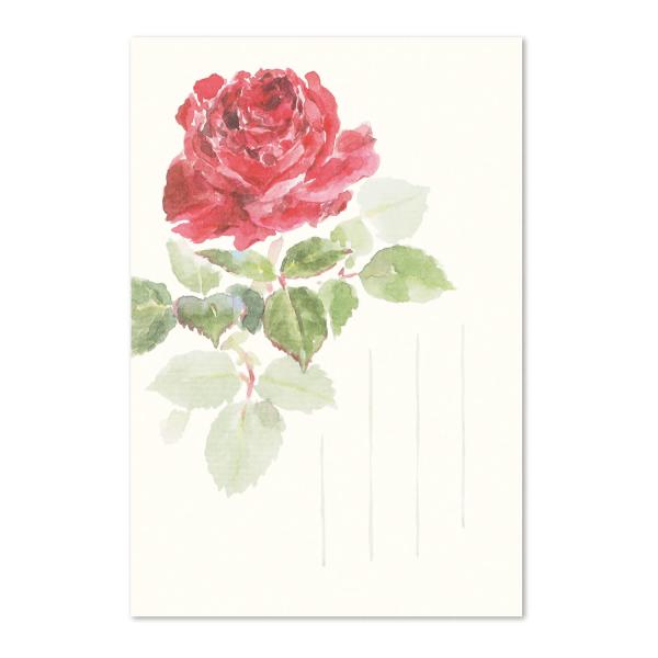 和紙 バラ 生活雑貨の人気商品 通販 価格比較 価格 Com