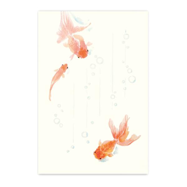 めでたや 絵葉書 ポストカード 夏 季節のはがき 金魚とあぶく おしゃれ