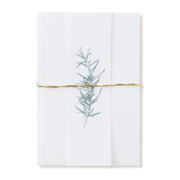 Nʑ |`  j  _ N medetaya modern ۂ [Y}[/lR|XΉ