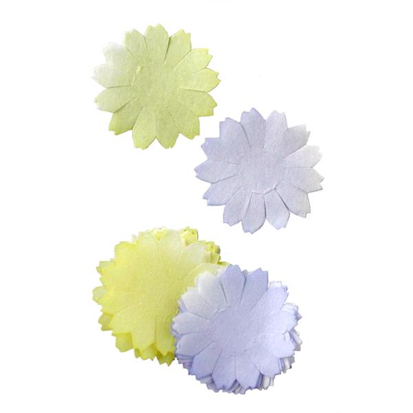 ؂G IWi J[h 莆 킢   Ntg ap[c [  }[Kbg/lR|XΉ