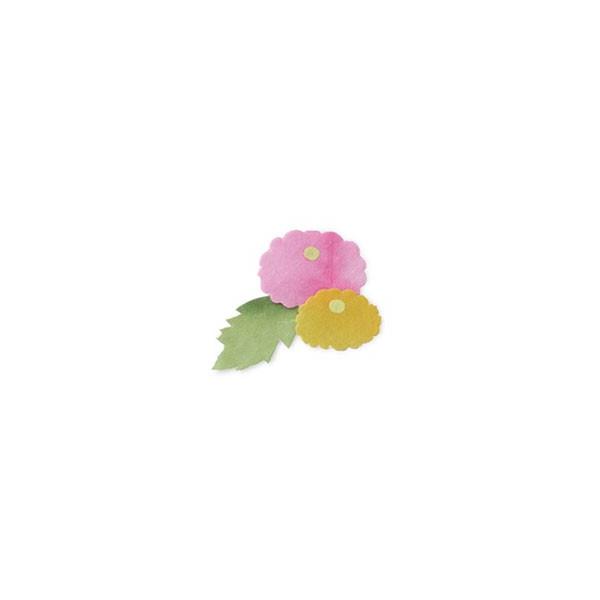 ؂G IWi J[h 莆 킢   Ntg ap[c H e/lR|XΉ
