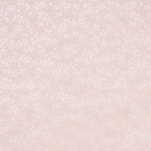 F̎q a VN  h sN× 338-C