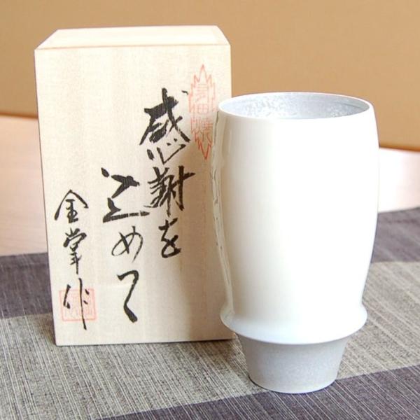  Mtg Lc rAJbv ӂ̖ؔ p[ v~ArAOX