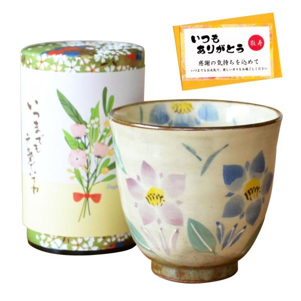 hV̓ Mtg Lc ۂ Β Zbg (50g ꌧY 쒃) ӂ߂Mtg bZ[WJ[ht ǂ 