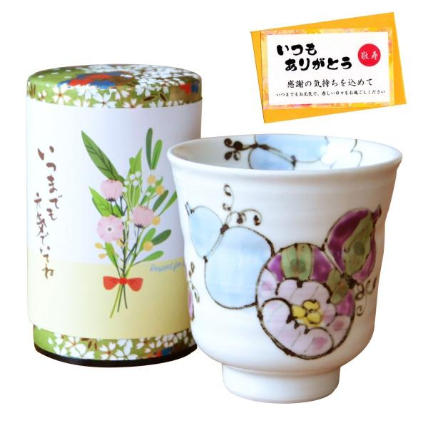 hV̓ Mtg Lc ۂ Β Zbg (50g ꌧY 쒃) NMtg bZ[WJ[ht ԘZZ 