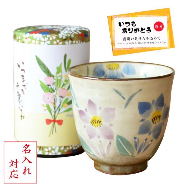  hV̓ v[g ۂ Lc Β Zbg (50g ꌧY 쒃) ӂ߂Mtg bZ[WJ[ht ǂ ()