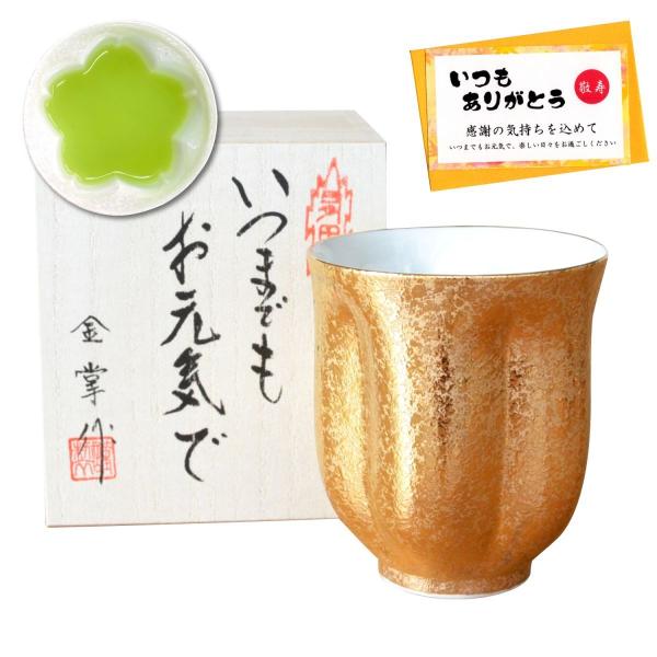 hV̓ Mtg ۂ Lc ̉Ԃт`ɂȂ ؔMtg bZ[WJ[ht ̃WpO