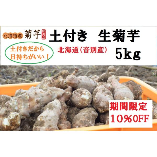 在庫限り 土付き 生菊芋【生キクイモ】5kg 北海道産(音別町 在庫限り 土付き 生菊芋【生キクイモ】5kg 北海道産(音別町