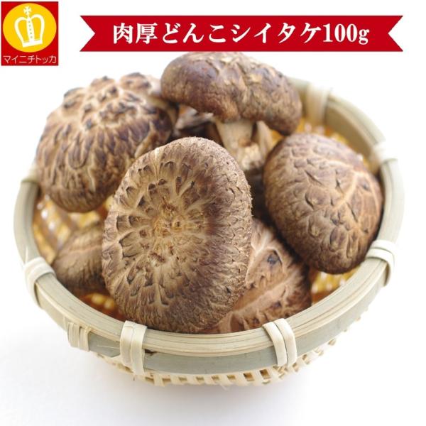 Ղǂ񂱂100g zo[xL[ |݂Ղ̂߂ă_Vɂ Ɩp Y Yi Mtg 