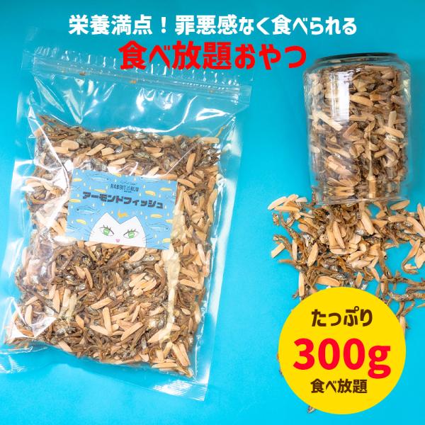 ���A�E�g���b�g������ �A�[�����h�t�B�b�V�� 300g �J���V�E�� �����A�[�����h �Ќ����킵 �h�{ ���N ��e�� �V���i �ܖ�����2026/10/07 ���� ���i�摜5