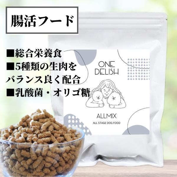ONE DELISH ALLMIX お試しサイズ / ドッグフード お試し 腸活 国産 無
