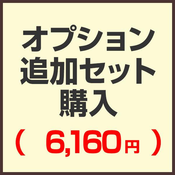 オプション追加セット購入ページ （セットで購入済みの為こちらから