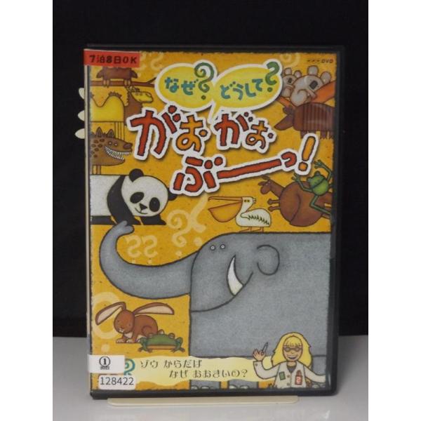 中古品DVD】NHK なぜ?どうして?がおがおぶーっ! ゾウ からだは