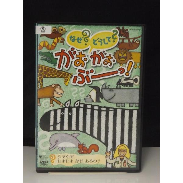 [128916]NHK なぜ?どうして? がおがおぶーっ!(3枚セット)シマウマ しましま なぜ あるの、ゾウ からだは なぜ おおきいの? 、カバ どうして いつも みずのなか?【全巻 アニメ 中古 DVD】ケース無:: レンタル落ち NHK DVD::なぜ?どうして?がおがおぶーっ! ゾウ からだは なぜ