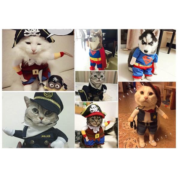 あおば様リクエスト専用ページ　② ハンドメイド犬服 楽天市場】[4サイズ/3色] ☆1＋1☆ オールインワンレインコート
