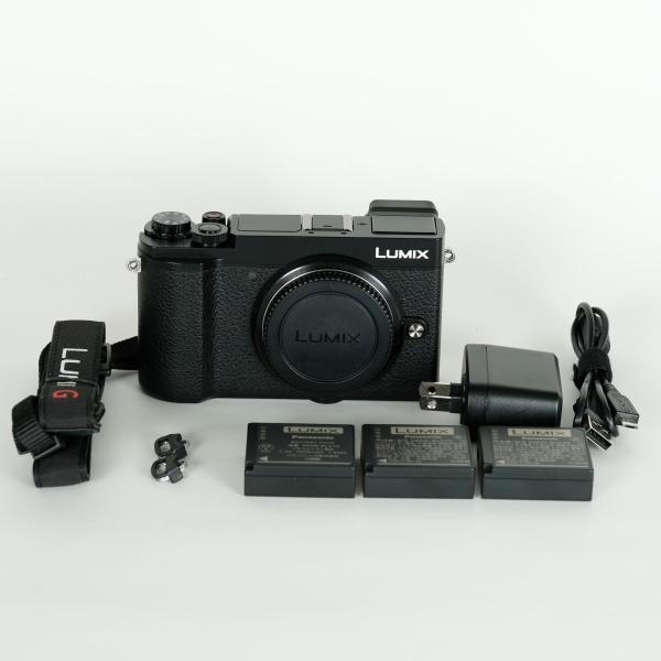 シャッター数5,342回｜バッテリー3個｜注意事項あり] Panasonic