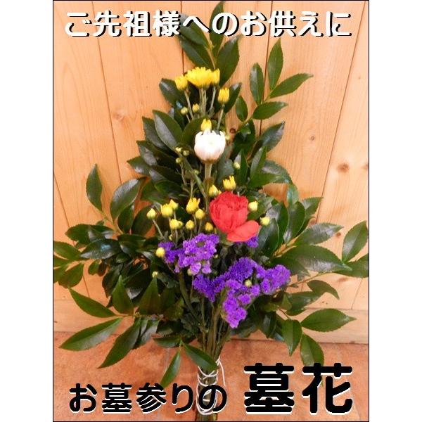 Ԃōԁ@QɂB a̓`łclւ̂ AWԉԑ ~E䋟