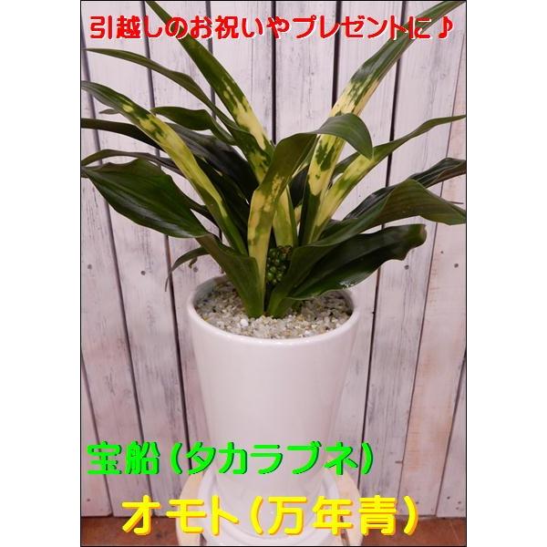 yzN Ig  Da̘a݁zCgCeA픫􂨏jɁzjAVzjȂǂɁϗtA