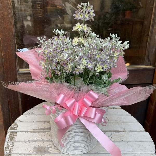 『移転祝い』『大切な人に』【自分へのご褒美】【プレゼント】【ギフト】【結婚祝い】【お祝い】【出産祝い】【退職祝い】【お誕生日】【結婚記念日】【開店祝い】【新築祝い】【贈呈花】【送別祝い】【引越し祝い】 【お礼】【自宅用】【贈答用】【記念日】...