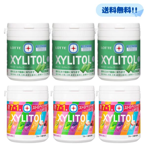2つの味からお選びください■内容量ライムミント1個133g7種アソート1個133g■検索キーワードファミリーボトル 業務用 ボトル チューインガム アソートセット 各3個 計6個 安い お得 大量 箱 箱買い ケース フタ ファミリー 持ち...