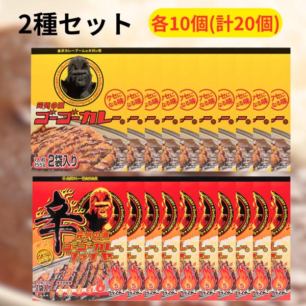 ゴーゴーカレー 人気2種セット 各10個 計20個セット ■最短賞味期限2026.8.1■ 中辛 2袋入り 辛口 1袋入り まとめ買い セット カレー レトルト
