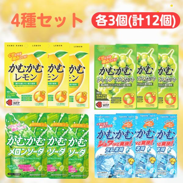 かむかむレモン パウチ 4種 各3個 計12個セット ■最短賞味期限2027.3■ レモン シャインマスカット ラムネ メロンソーダ まとめ買い