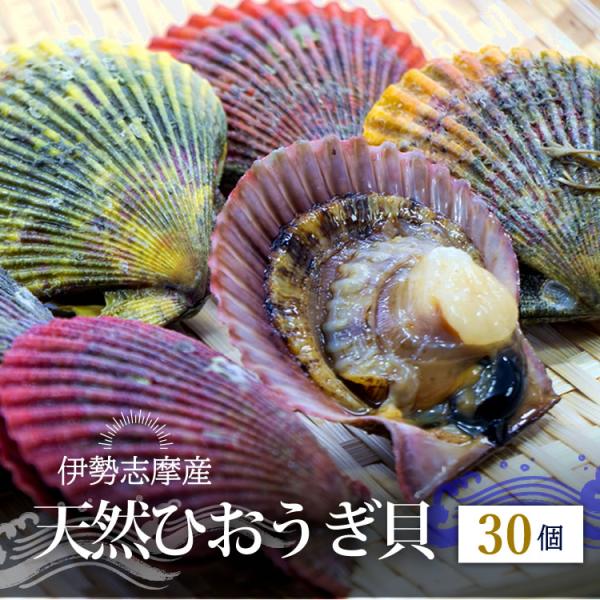ひおうぎ貝 ヒオウギ貝 活 バタ貝 《30個セット》 伊勢志摩産
