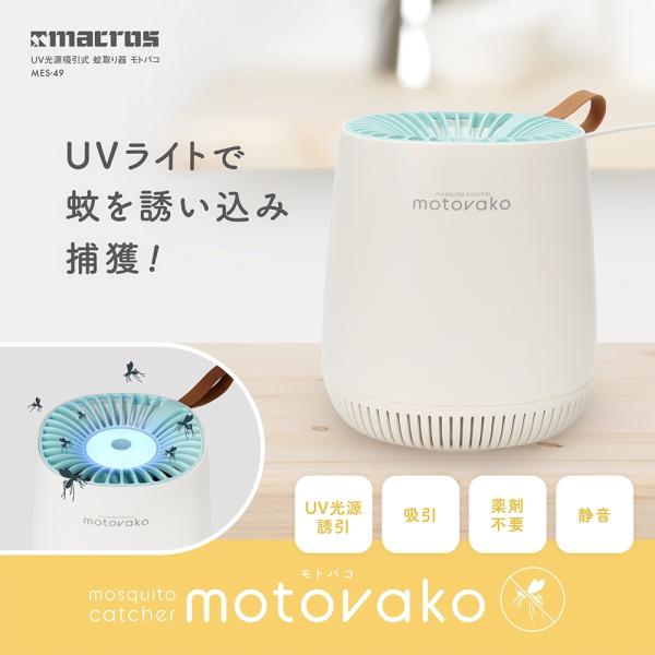 macrosi}NXj MES-49[MES49] UVz goR [4532141147567]