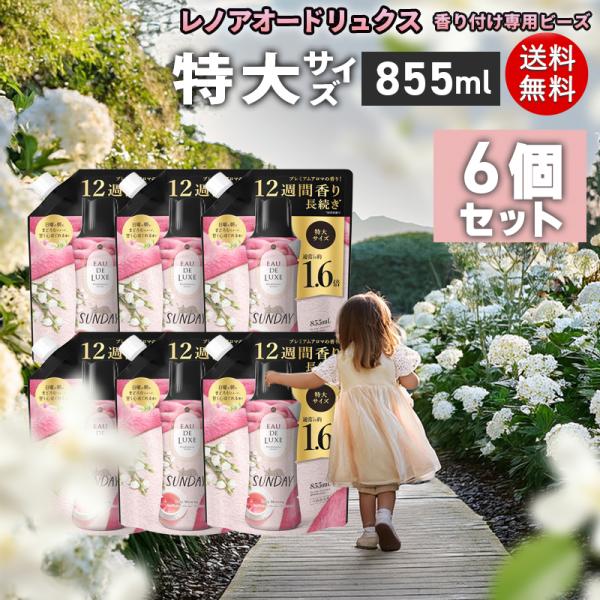 レノア Lenor オードリュクス 香り付け専用ビーズ マインドフルネスシリーズ サンデー 詰め替え 6個セット 855mL