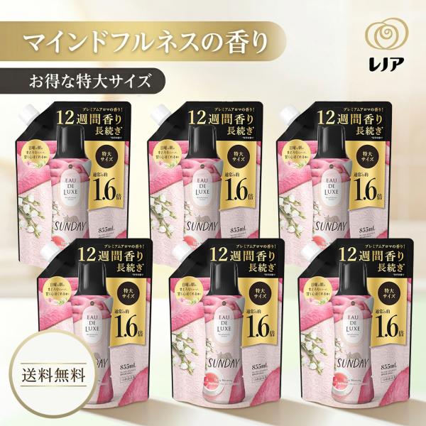 レノア オードリュクス 香り付け専用ビーズ マインドフルネスシリーズ サンデー 6個セット 詰め替え 855mL P&G 送料無料
