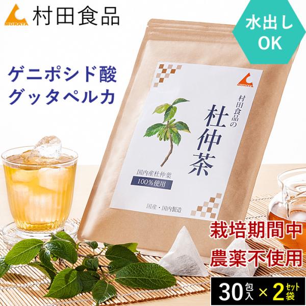 杜仲茶 国産 【無農薬】 とちゅう茶 ティーバッグ（3ｇ×30包）2袋セット 【公式】村田食品の杜仲茶 栽培期間中は農薬不使用 鳥取県産 健康茶 ノンカフェイン