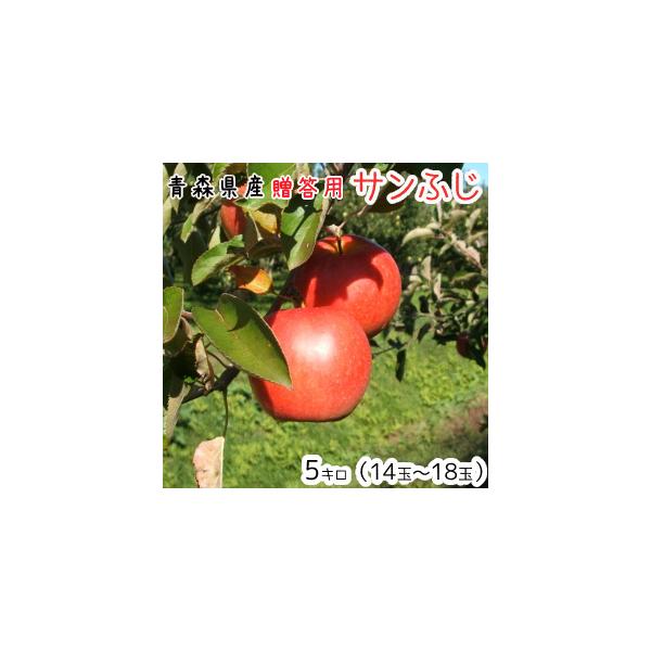 【サンふじ】【✨特級品✨】青森県産‼️サンふじ　りんご　１４キロ　送料無料 10000188_top.jpg