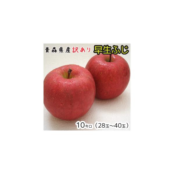 青森りんご☆送料無料☆訳あり早生ふじ10キロ28〜40玉 発送は10月10