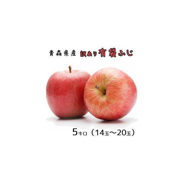 青森りんご☆送料無料☆訳ありりんご有袋ふじ5キロ14-20玉　発送は5月7日頃から