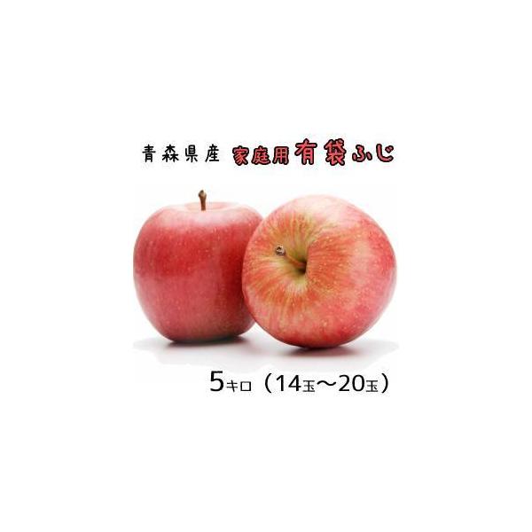 青森りんご☆送料無料☆家庭用有袋ふじ5キロ14〜20玉