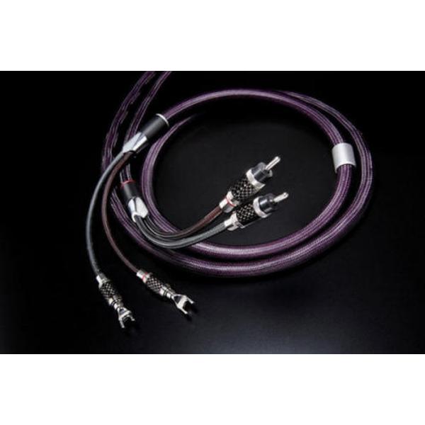 Furutech Speakerflux-06/3.0yA SPP[u