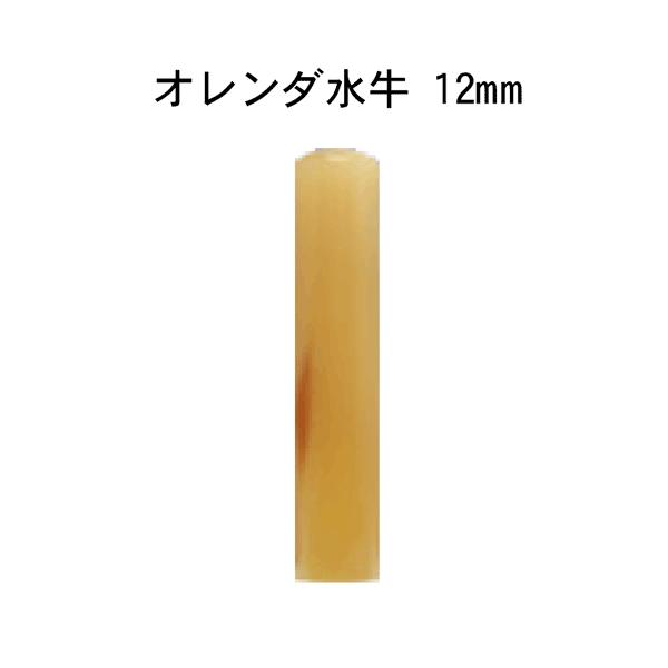 l I_ [12mm](Pi)͂  s F Mtg v[g