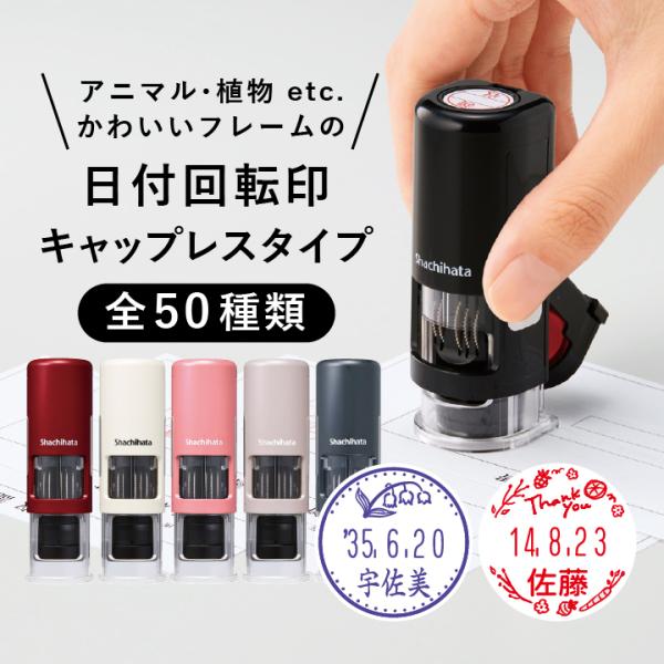 t t] V`n^ LbvX^Cv 킢 f[^[l[EX15 CXgp^[2 15.5mm ʒi ] f[^l[