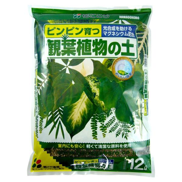花ごころ 観葉植物の土 マグネシウムで葉の色鮮やか 12L 送料無料