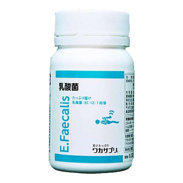 送料無料 ワカサプリ 乳酸菌(EC-12) 90粒