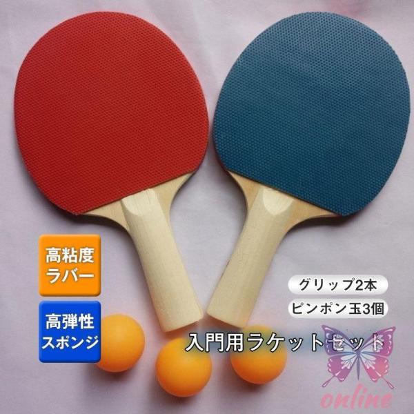 卓球 ラケット 卓球ラケット 初心者 ケース ペン トレーニング