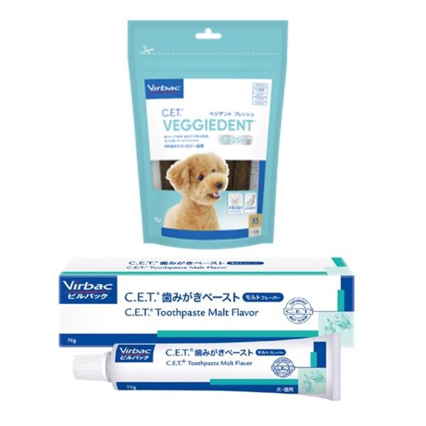 robN CET xWfgtbV XS×robN CET ݂y[Xg gt[o[ Zbg