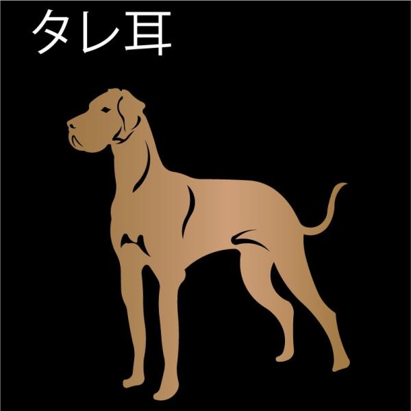 グレートデン ステッカー デン カッティングステッカー Buyee Buyee Japanese Proxy Service Buy From Japan Bot Online