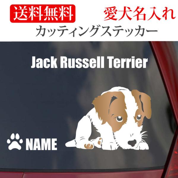 WbNbZeA XebJ[ WbNbZ JbeBOXebJ[ u[N  