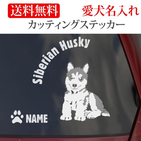 VxAnXL[ XebJ[ nXL[ JbeBOXebJ[ e~`  