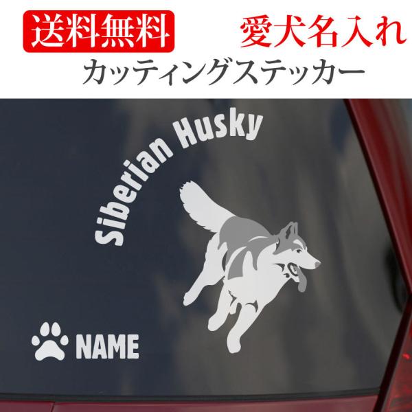 VxAnXL[ XebJ[ nXL[ JbeBOXebJ[ RUN ~`  